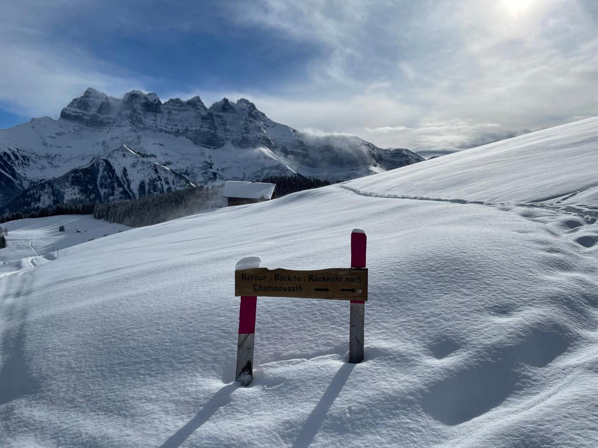 Chalet Montriond - Bike & Ski Les Crosets Kültér fotó