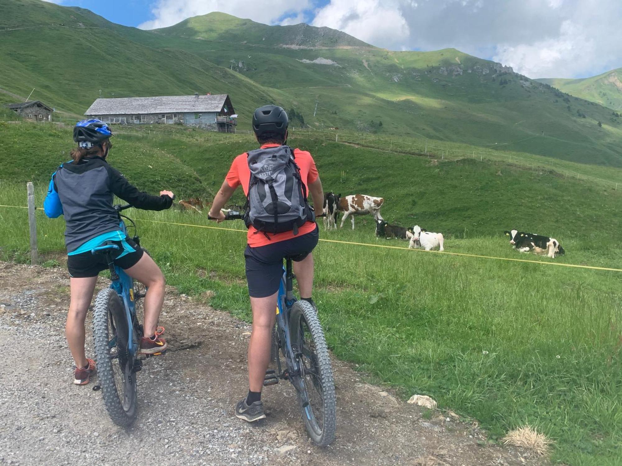 Chalet Montriond - Bike & Ski Les Crosets Kültér fotó